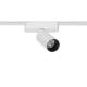 Imagen de Foco Carril LED Magnético 25mm SuperSlim 12W 48V Blanco