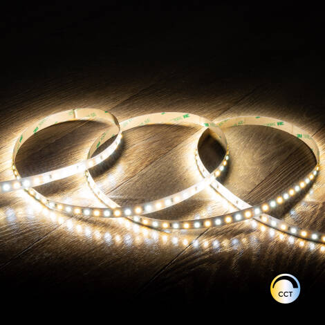Tira LED 12V SMD CCT 120 LED/m 5m 10W/m 1000lm/m Ancho 10mm Corte 5cm IP20
