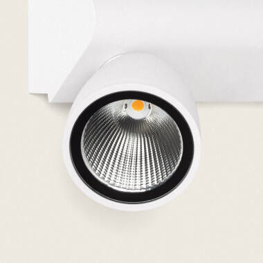 Imagem de Aplique de Parede Exterior LED 12W Alumínio Abel Large Dois Focos