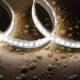 Imagen de Tira LED Digital SPI 24V Monocolor SMD 120 LED/m 10m Ancho 10mm Corte 10cm IP67