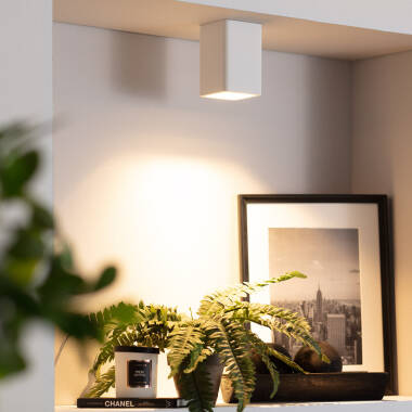 Imagen de Aplique de Techo Yeso Lapisca