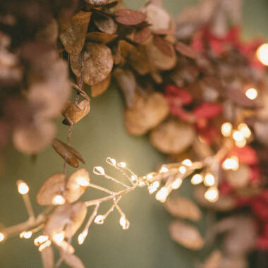 Imagem de Grinalda Exterior Arame LED Cromada 5m Racimo