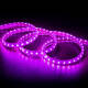 Imagem de Fita LED RGB 220V SMD 60 LED/m 10W/m Largura 16mm Corte 100cm IP65