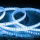 Imagen de Tira LED Regulable 220V SMD 120 LED/m Color 8.5W/m Ancho 12mm Corte 20cm IP65 a Medida