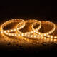 Imagen de Tira LED CCT 220V 120 LED/m 10W/m 900lm/m Ancho 14mm Corte 100cm IP65 a Medida