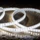 Imagen de Bobina de Tira LED Regulable 220V SMD2835 120LED/m 750 lm/m Ancho 12mm 50m IP65