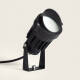 Imagem de Foco Exterior LED 6W com Espeto Palm EasyFit 12V