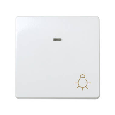 Interruptor Pulsador con Grabado Luz 10 A 250V Simon 27 Play 27161-65