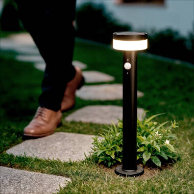 Baliza de Pie Exterior Solar LED 1,5W 50cm Acero Inoxidable con Sensor de Movimiento Ashier