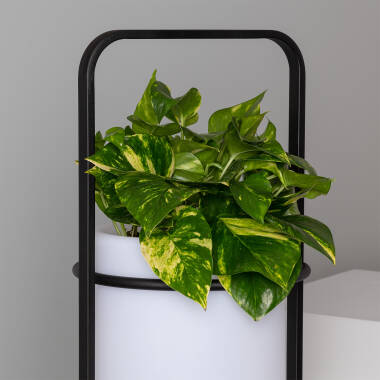 Imagem de Candeeiro de Pé Exterior de Metal LED 5W RGB Vaso Ø30 cm Recarregável IP65