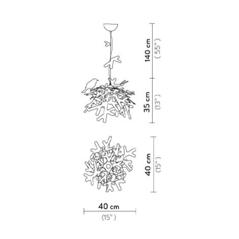 Scheme image