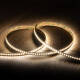 Imagen de Tira LED 24V SMD 160 LED/m 5m 16W/m 2400lm/m High Lumen Ancho 10mm Corte 5cm IP20 CRI90