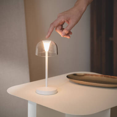 Candeeiro de Mesa LED Portátil para Exterior Metal com Bateria USB  Recarregável Lendora