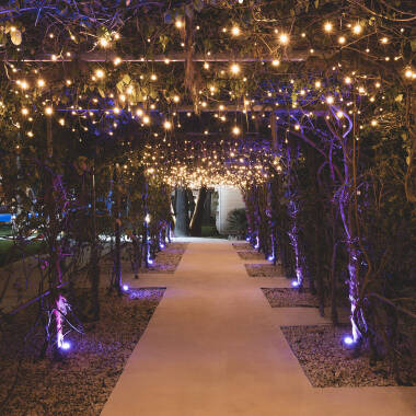 Cortina de Grinaldas LED Regulável