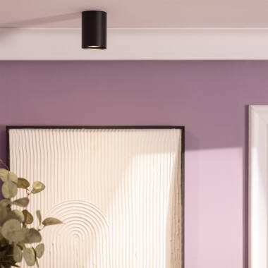 Imagen de Aplique de Techo Aluminio Cuarzo Negro