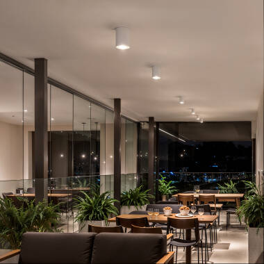 Imagen de Aplique de Techo Aluminio Cuarzo Blanco