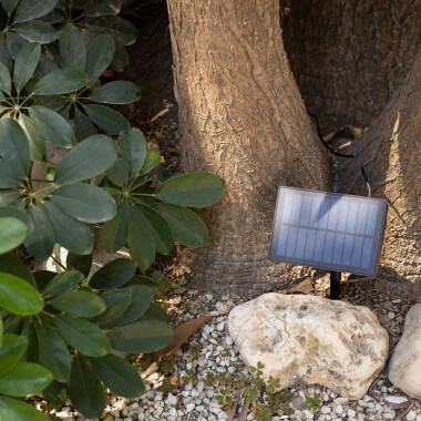 Imagen de Guirnalda de Bombillas LED Solar Exterior Kuiper 7m