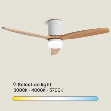 Imagen de Ventilador de Techo con luz Silencioso DC Leros