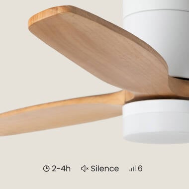 Imagen de Ventilador de Techo con luz Silencioso DC Leros