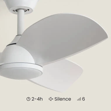 Imagen de Ventilador de Techo con luz Silencioso DC Poros Evo