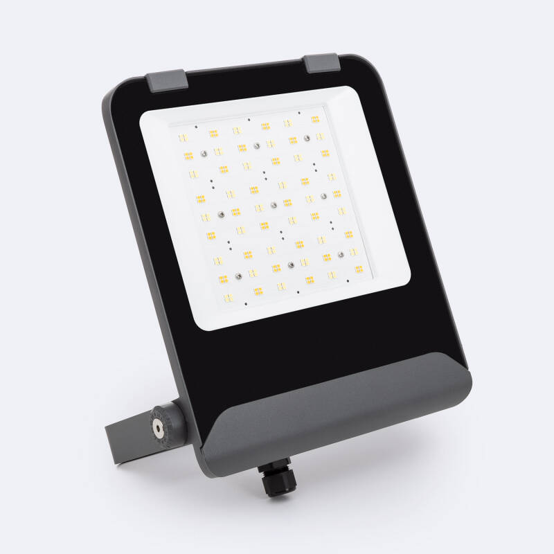 Imagen de Foco Proyector LED 100W Elite CCT Seleccionable 160 lm/W IP65 SOSEN
