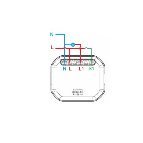 Scheme image