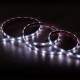 Imagen de [#] Tira LED RGBIC Digital SPI 12V DC 30LED/m 5m IP67 Ancho 12mm Corte cada 10cm