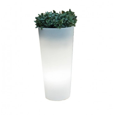 Macetero Ficus 60 Cable Exterior Fría