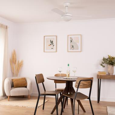 Imagem de Ventoinha de Teto Exterior LED Triffin Branca 107cm Motor DC