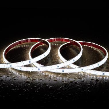Fita LED Regulável 220V SMD Autorectificada 120 LED/m 14W/m 1680lm/m SILICONE FLEX Largura 12mm Corte 10cm IP67 à Medida