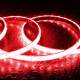 Imagen de Tira LED RGB 220V SMD 60 LED/m 15W/m SILICONE FLEX Ancho 12mm Corte 100cm IP67 con Mando a Medida