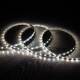 Imagem de Fita LED 24V DC SMD2835 60LED/m 5m IP20 Largura 8mm Corte a cada 10cm
