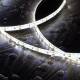 Imagen de Tira LED 12V SMD 120 LED/m 5m 10W/m 1000lm/m Ancho 8mm Corte 2.5cm IP65