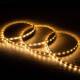 Imagen de Tira LED 12V SMD 60 LED/m 5m 5W/m 400lm/m Ancho 8mm Corte 5cm IP20