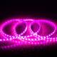Imagem de Fita LED 220V SMD2835 60LED/m Rosa IP65 Largura 12mm Corte 100cm 
