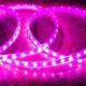 Imagem de Fita LED 220V SMD2835 60LED/m Rosa IP65 Largura 12mm Corte 100cm 