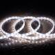 Imagen de Tira LED Regulable 220V SMD 60 LED/m Blanco Frío 6W/m 600lm/m Ancho 12mm Corte 20cm IP65 a Medida