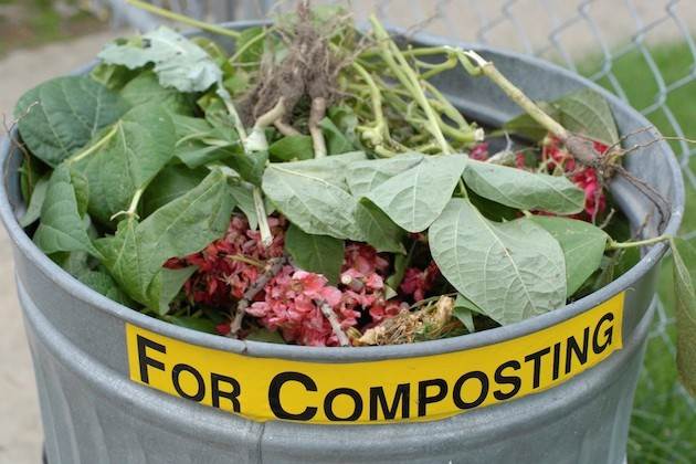 Compostaggio in vaso