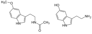 Molecole di melatonina e serotonina