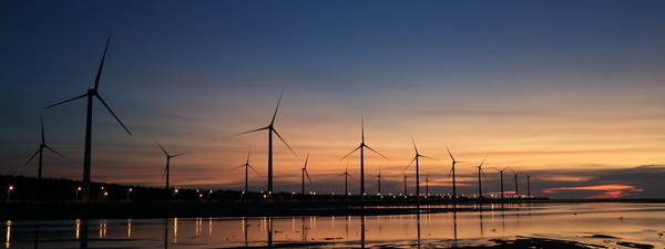 Molinos de viento