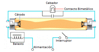 Esquema tubo cebador