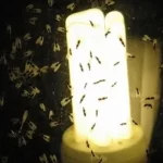 Luces antimosquitos bombilla-antimosquitos