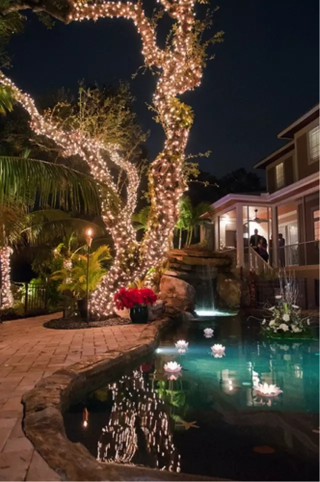 Luces en árbol cerca de la piscina