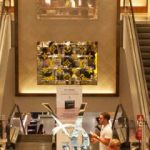 Cómo influye la iluminación en el comportamiento del consumidor light-shopping-behaviour