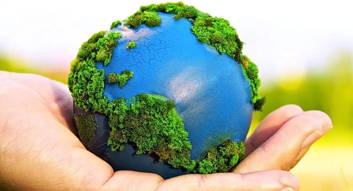 8 passos para ser um poupador e dar o seu contributo para o ambiente