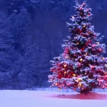 Iluminação de Natal LED Iluminação de Natal LED