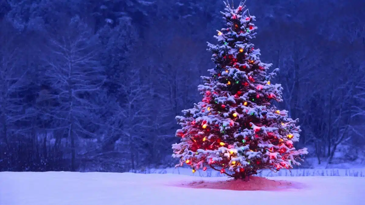 Iluminação de Natal LED