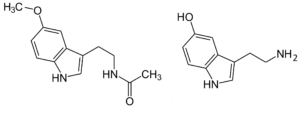 Moléculas de melatonina y serotonina