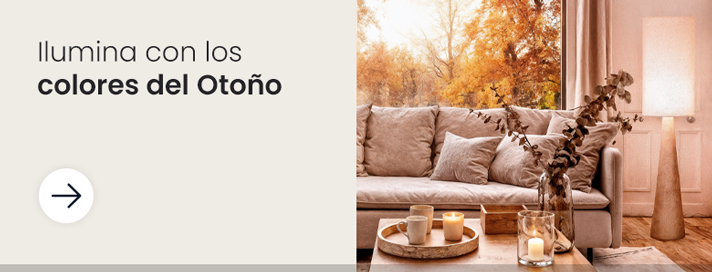 Productos con colores del otoño