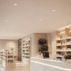 Downlights, Apliques y Plafones
